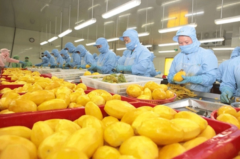 Vietnam’s 2025 fruit and vegetable exports expected to surpass $8 bln