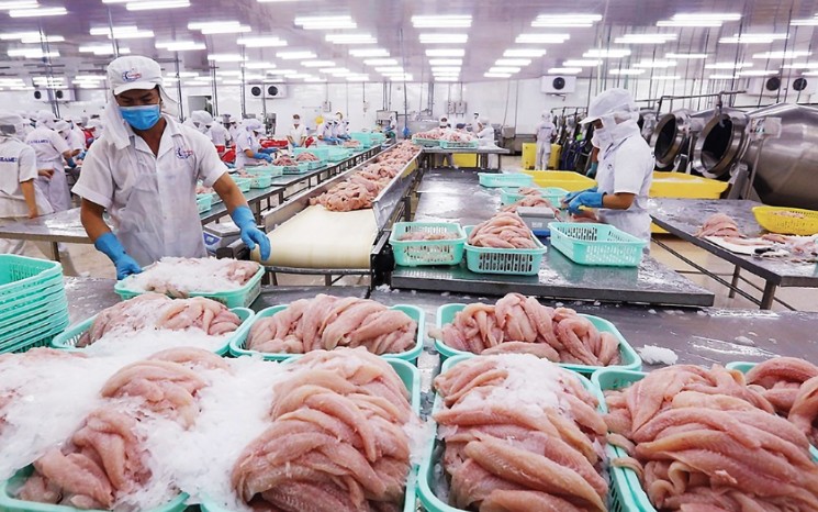 Opportunity for Vietnam’s pangasius export