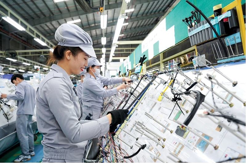 Right policy vision crucial for growth