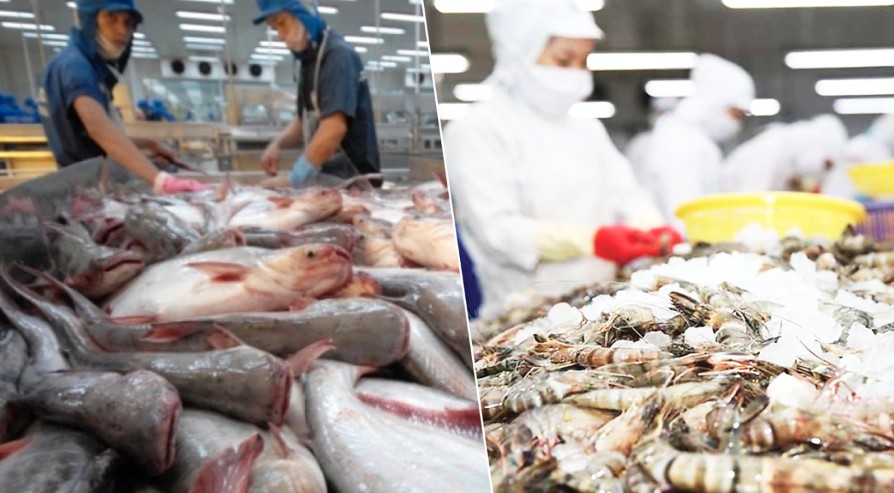 Vietnam's 2025 seafood exports hit $11.34 billion