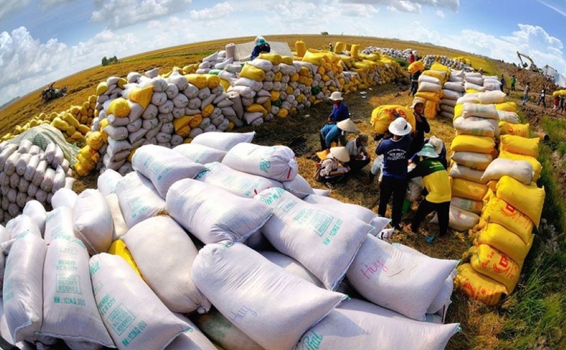 Rice export revenue reaches $2.34 billion in 5M